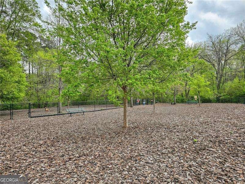2168 Rock Creek Park Decatur - 13