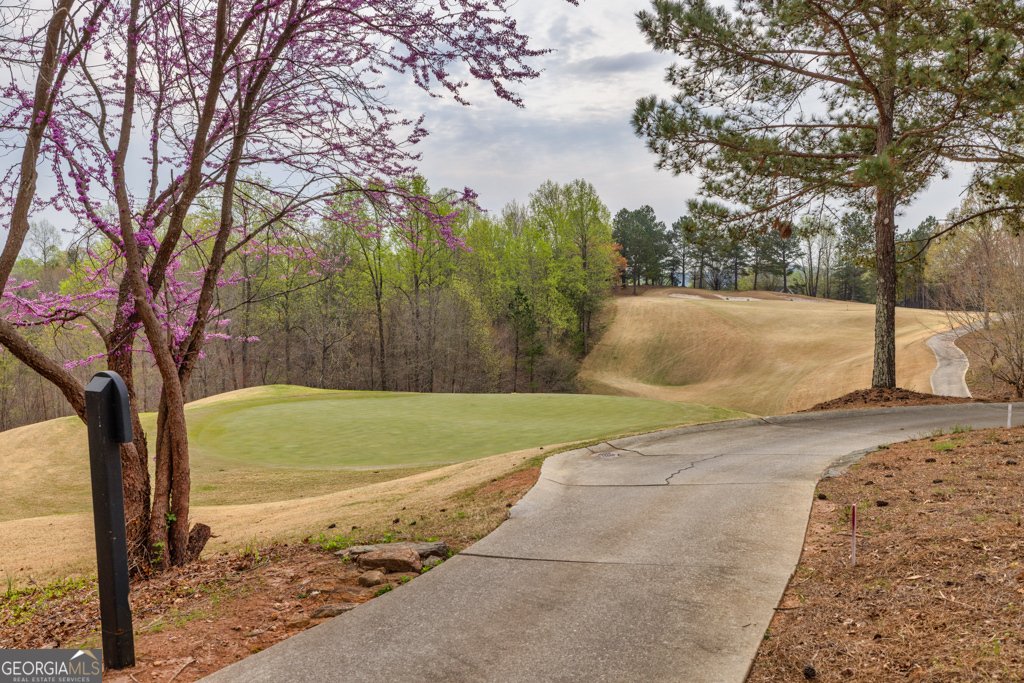 19 Cottage Lane Toccoa - 29