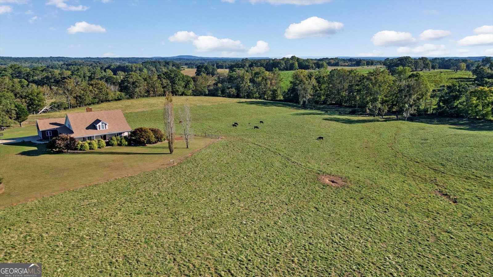 80 County Road 624 Ranburne - 43