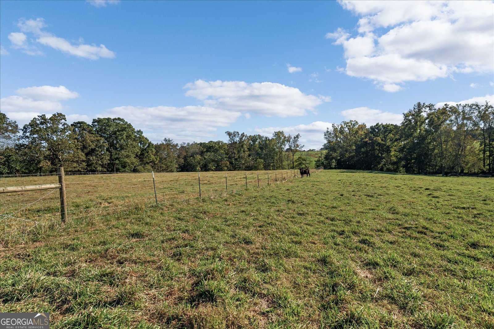 80 County Road 624 Ranburne - 77