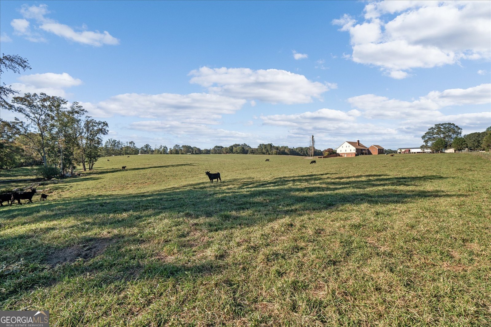 80 County Road 624 Ranburne - 78
