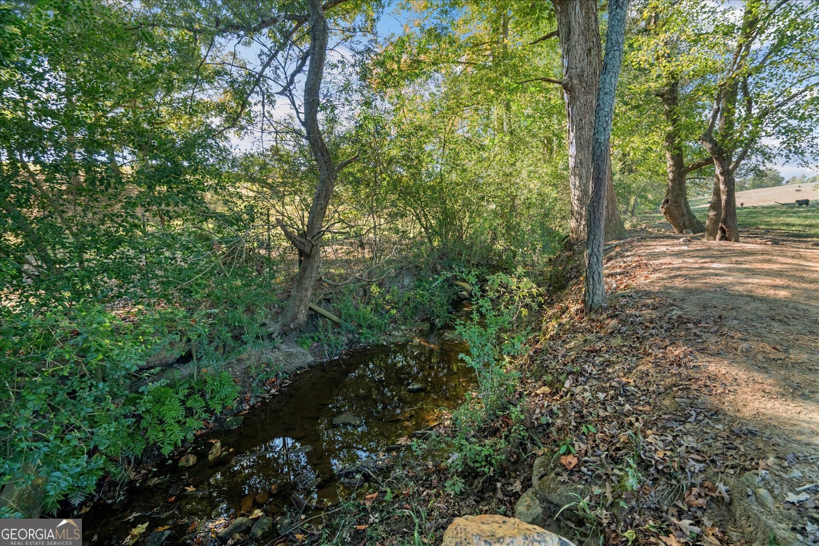 80 County Road 624 Ranburne - 80