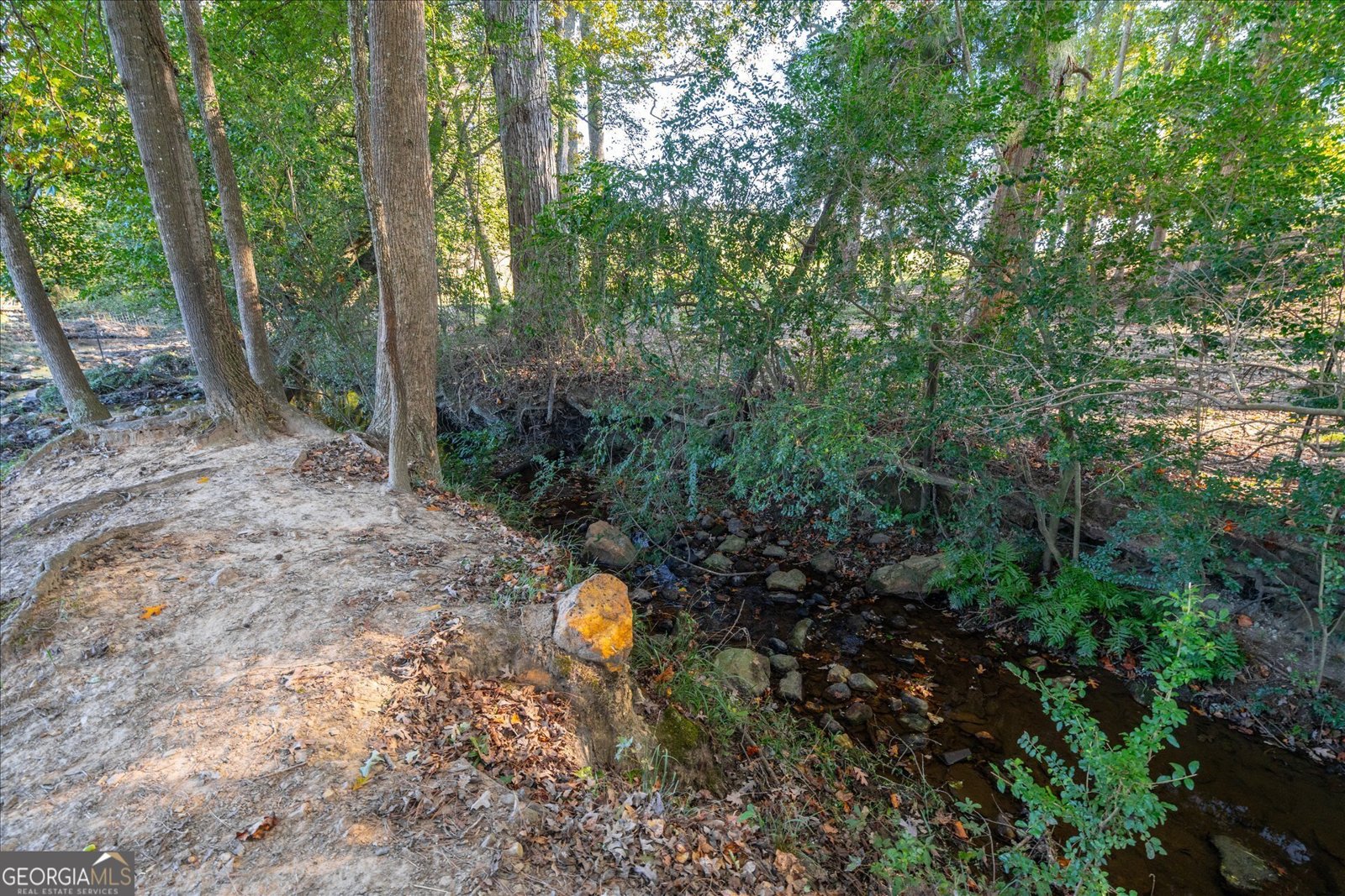 80 County Road 624 Ranburne - 81