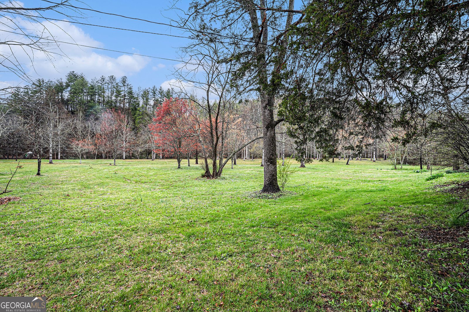 15 Bridge Street Mineral Bluff - 25
