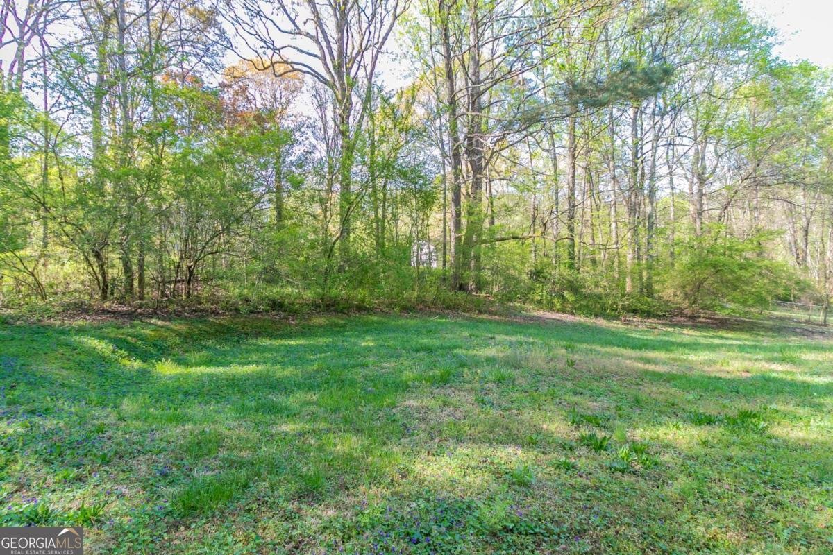 2619 Del Ridge Drive Douglasville - Photo 32