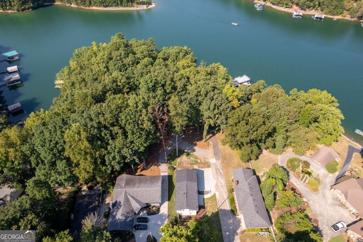 6160 Lake Lanier Heights Road Buford - 4