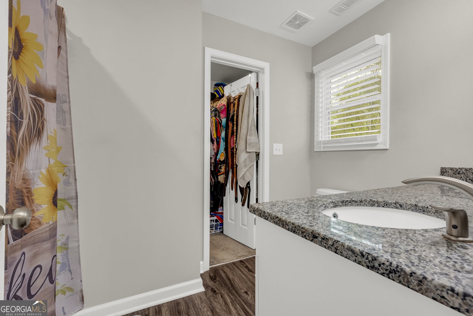 3466 Holly Springs Road Pendergrass - 21