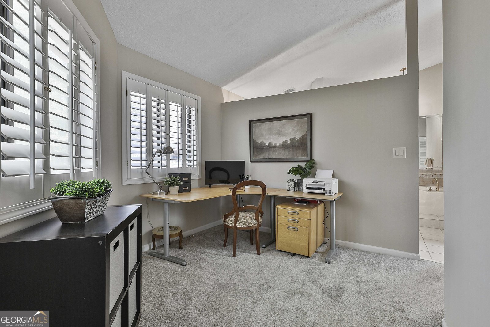 101 Springridge Court Peachtree City - 12
