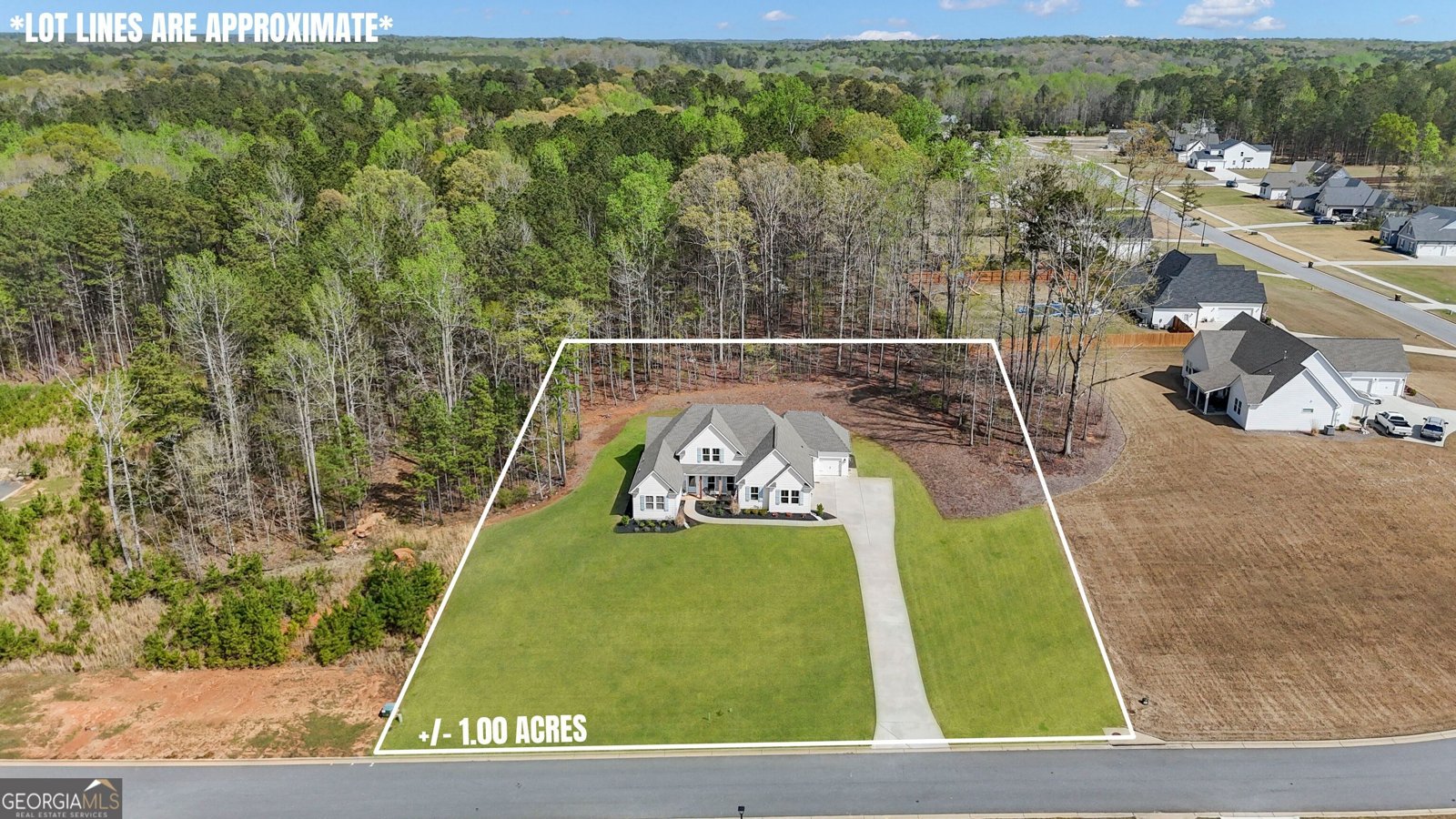 215 Greyfairs Avenue Senoia - 3