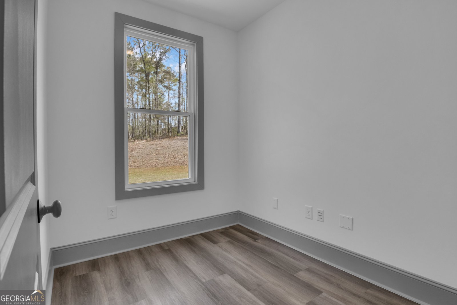 215 Greyfairs Avenue Senoia - 32