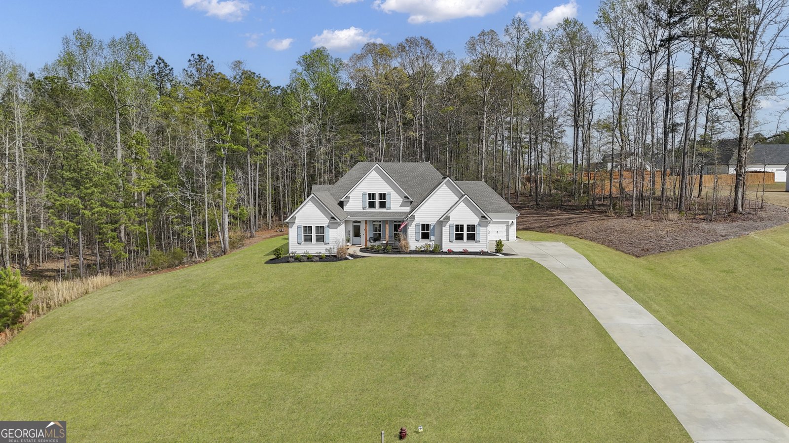 215 Greyfairs Avenue Senoia - 63