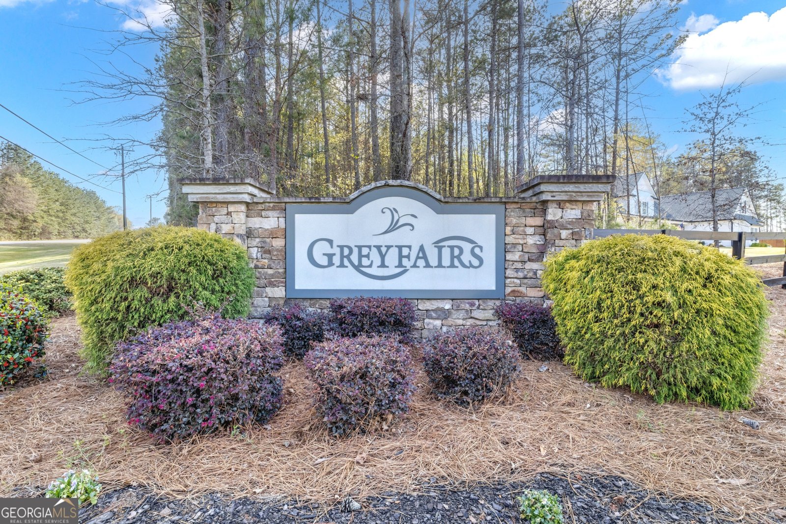 215 Greyfairs Avenue Senoia - 70