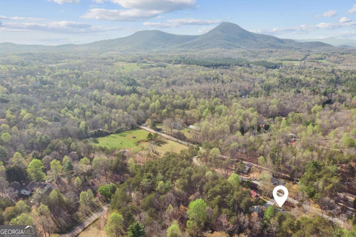 294 Cedar Hollow Road Cleveland - 7
