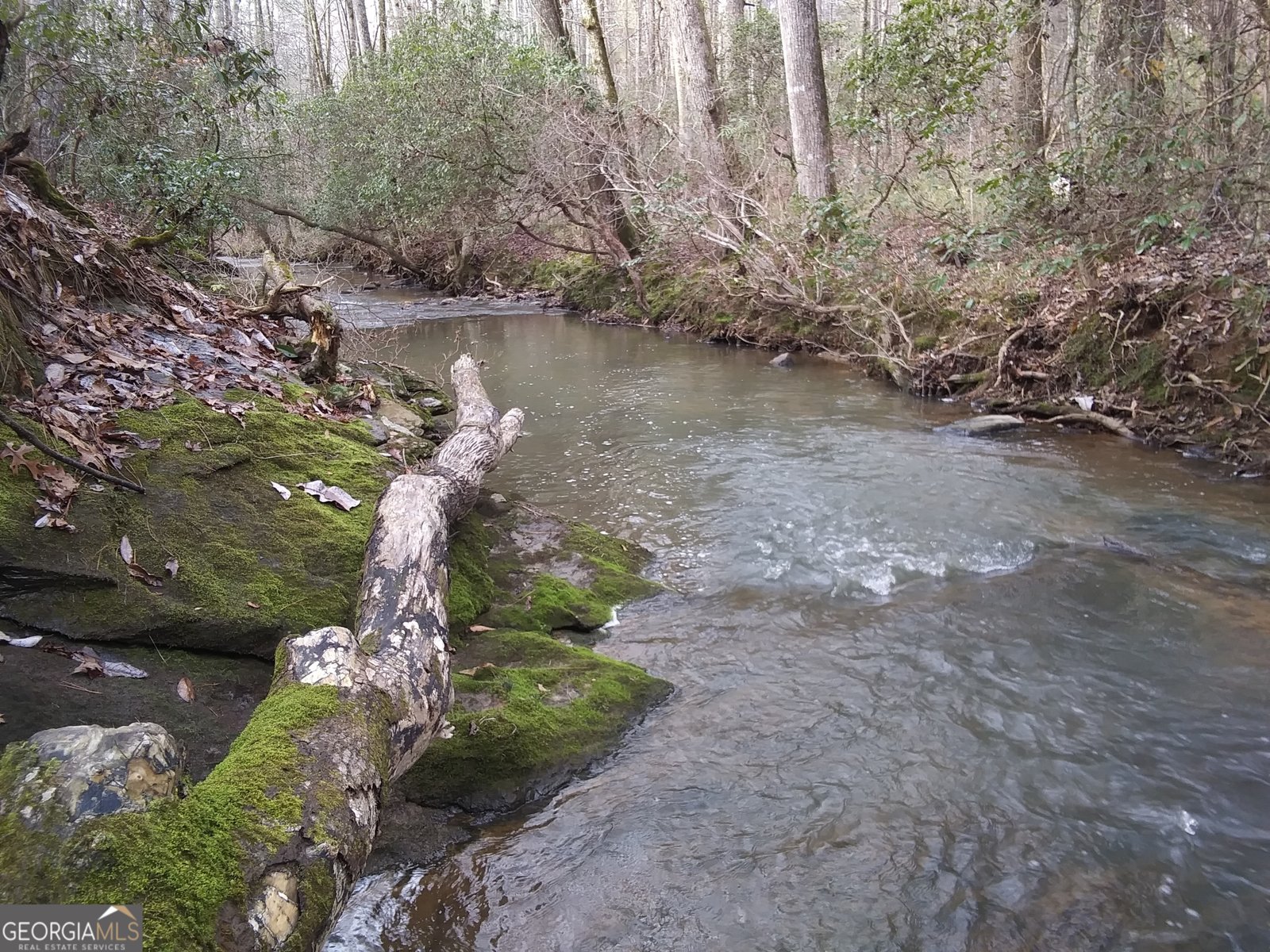 207 County Road 561 Woodland - 3