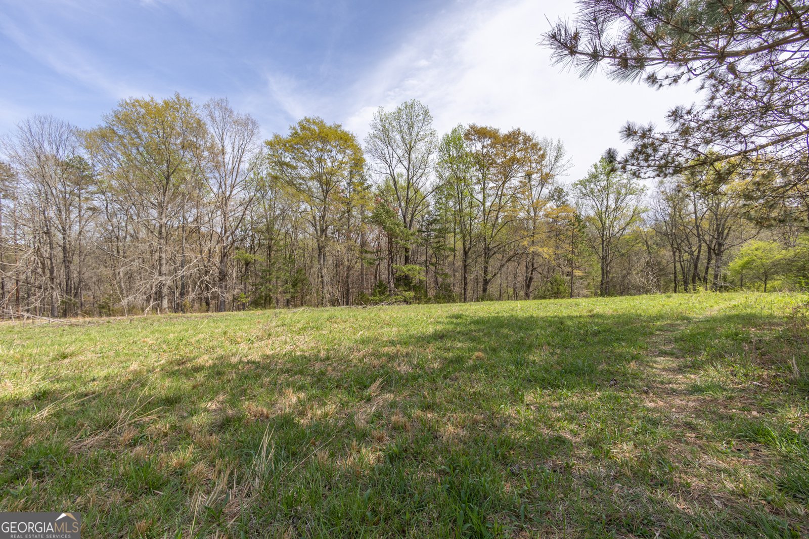 207 County Road 561 Woodland - 30