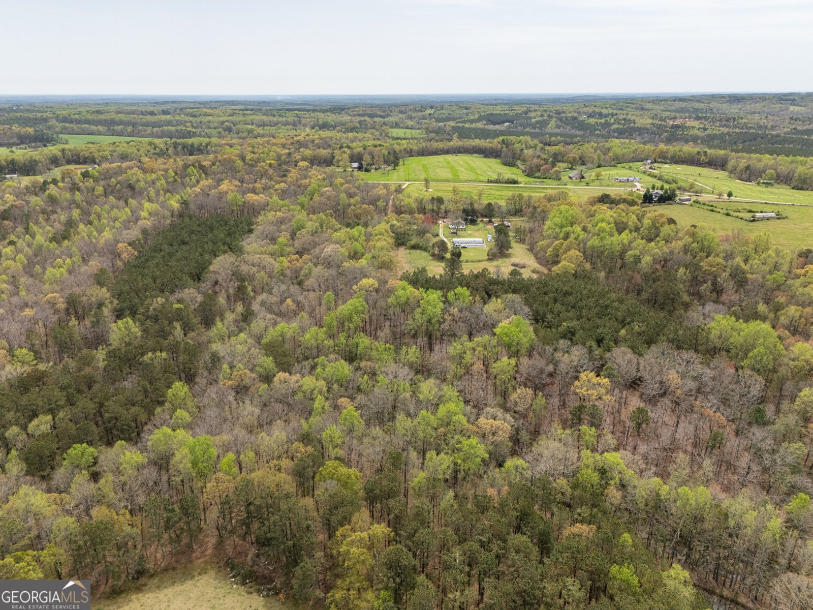 207 County Road 561 Woodland - 33