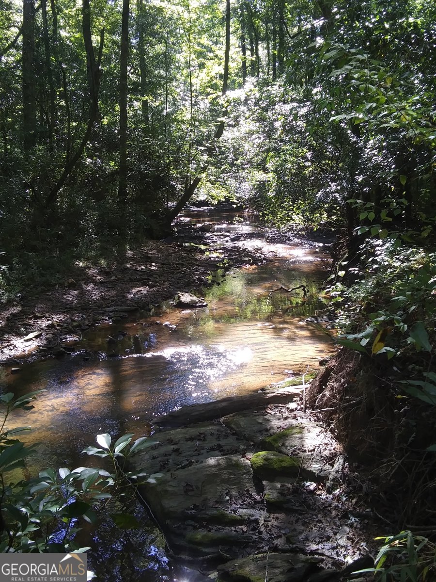207 County Road 561 Woodland - 37