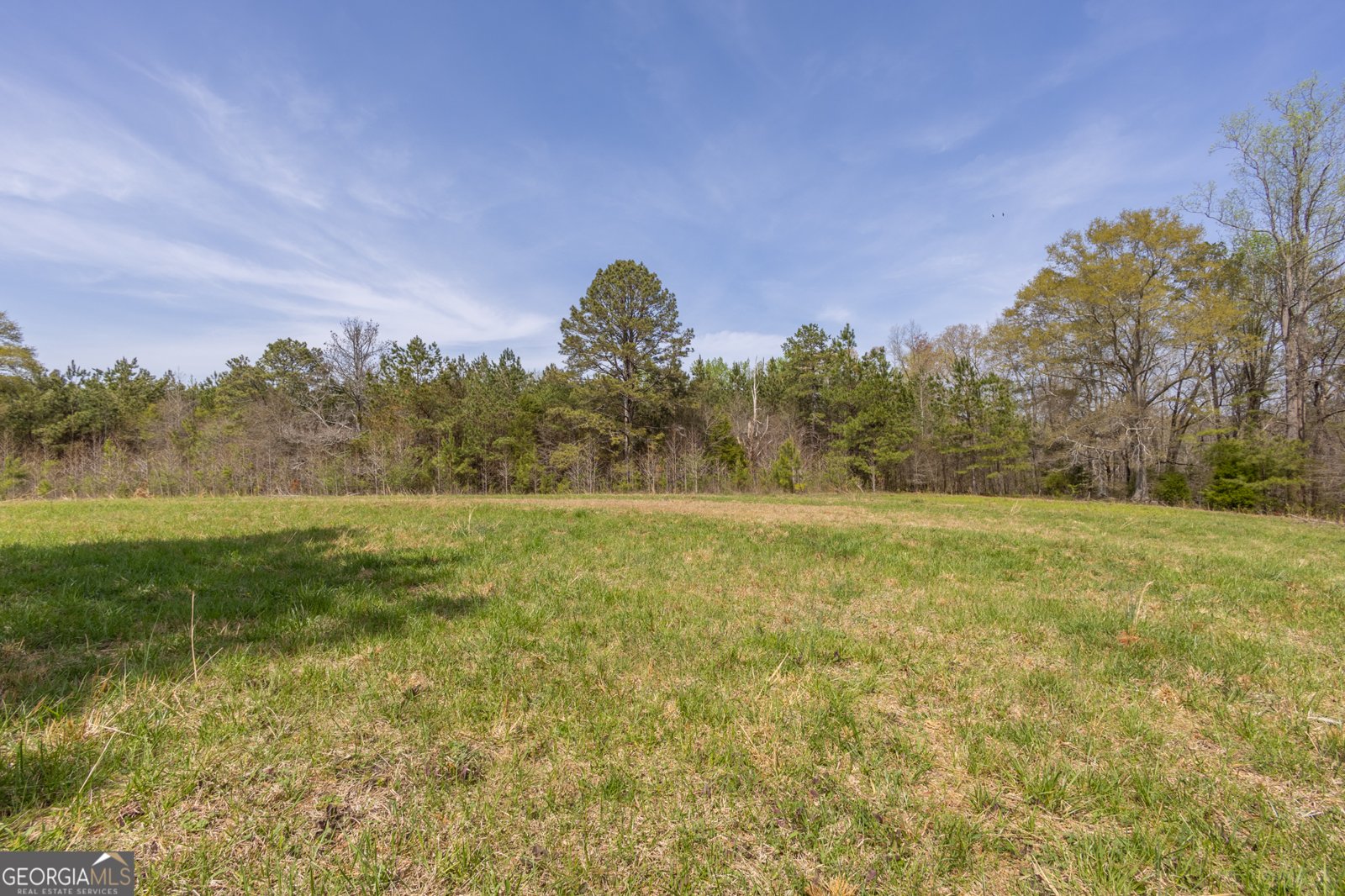 207 County Road 561 Woodland - 4