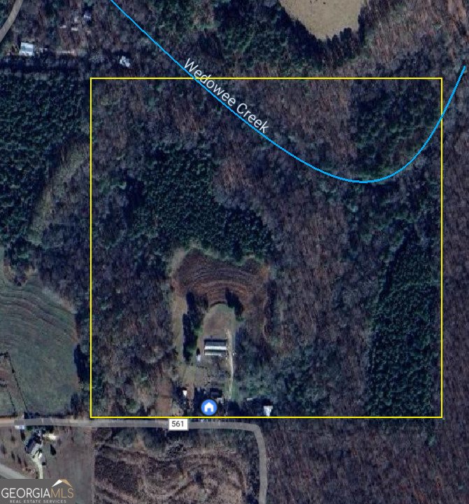 207 County Road 561 Woodland - 5