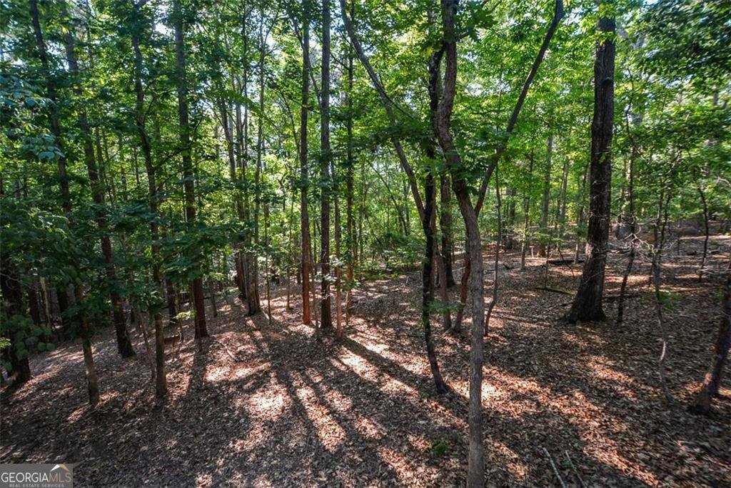 525 Sycamore Point Woodstock - 65