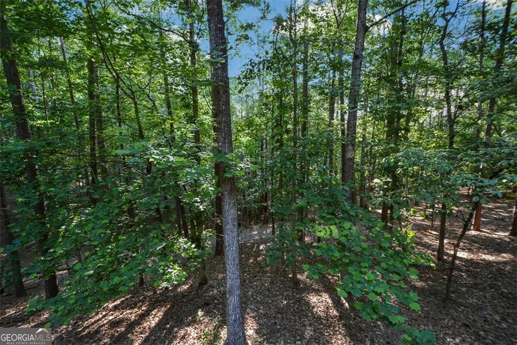 525 Sycamore Point Woodstock - 67