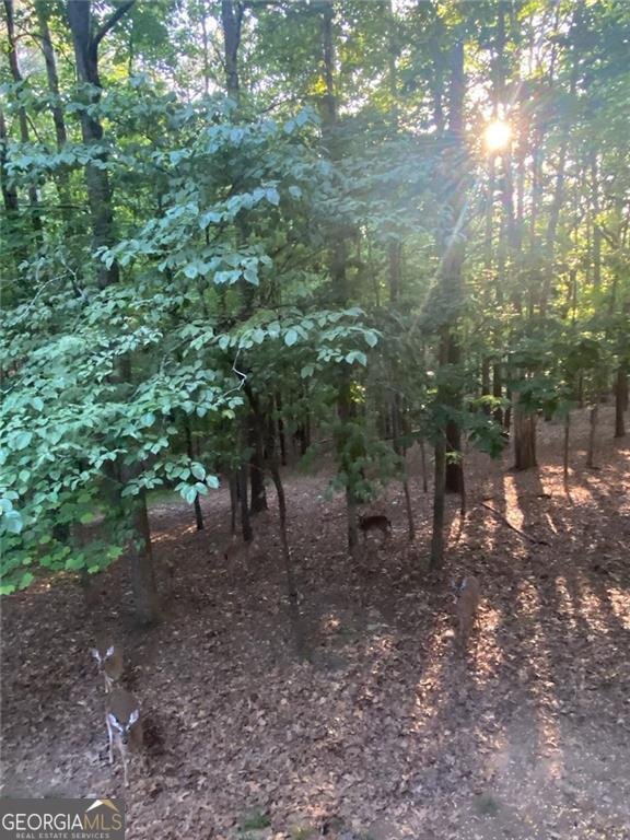 525 Sycamore Point Woodstock - 73