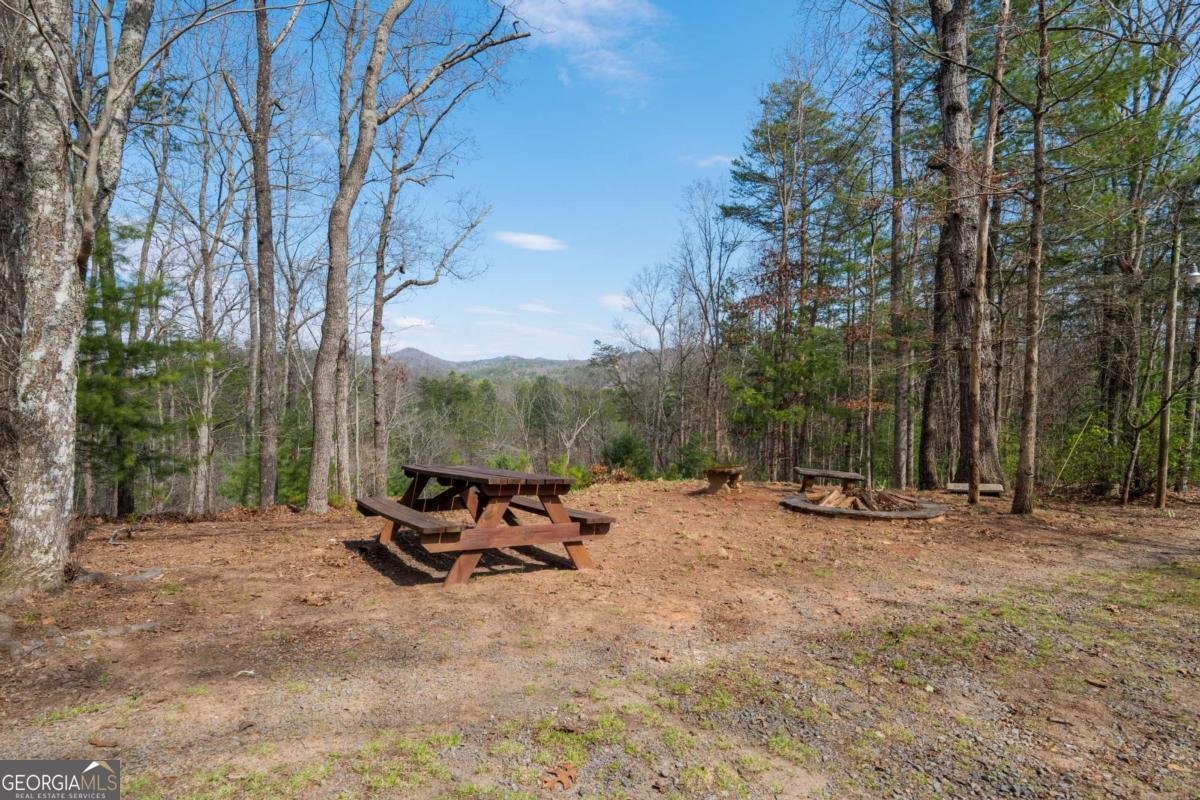 1164 Dividing Ridge Road Mineral Bluff - 27