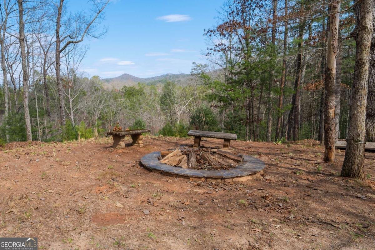 1164 Dividing Ridge Road Mineral Bluff - 28