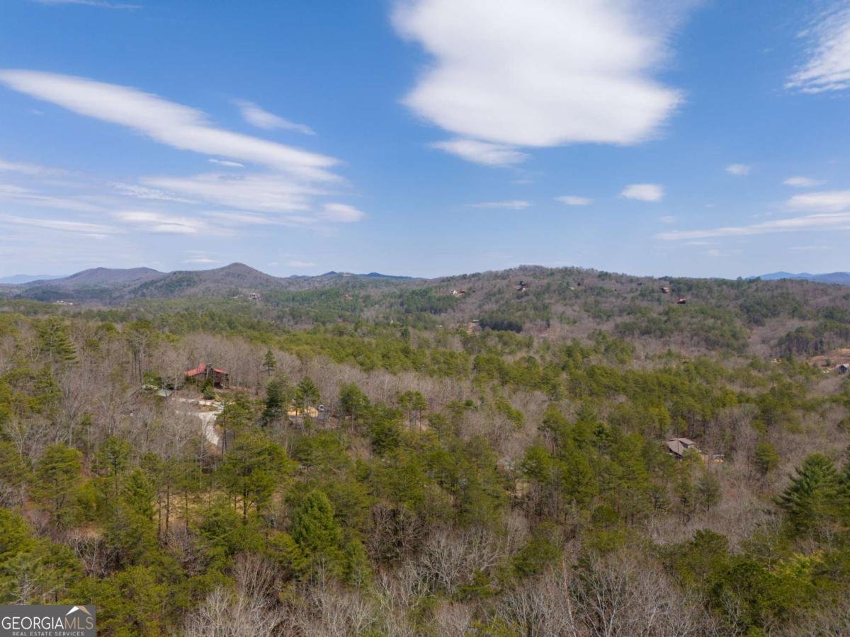 1164 Dividing Ridge Road Mineral Bluff - 29