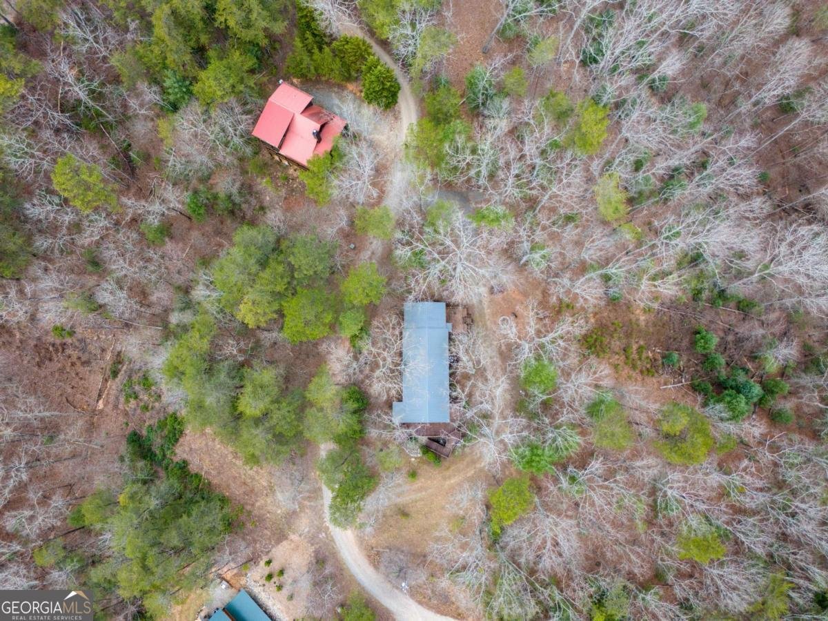 1164 Dividing Ridge Road Mineral Bluff - 31