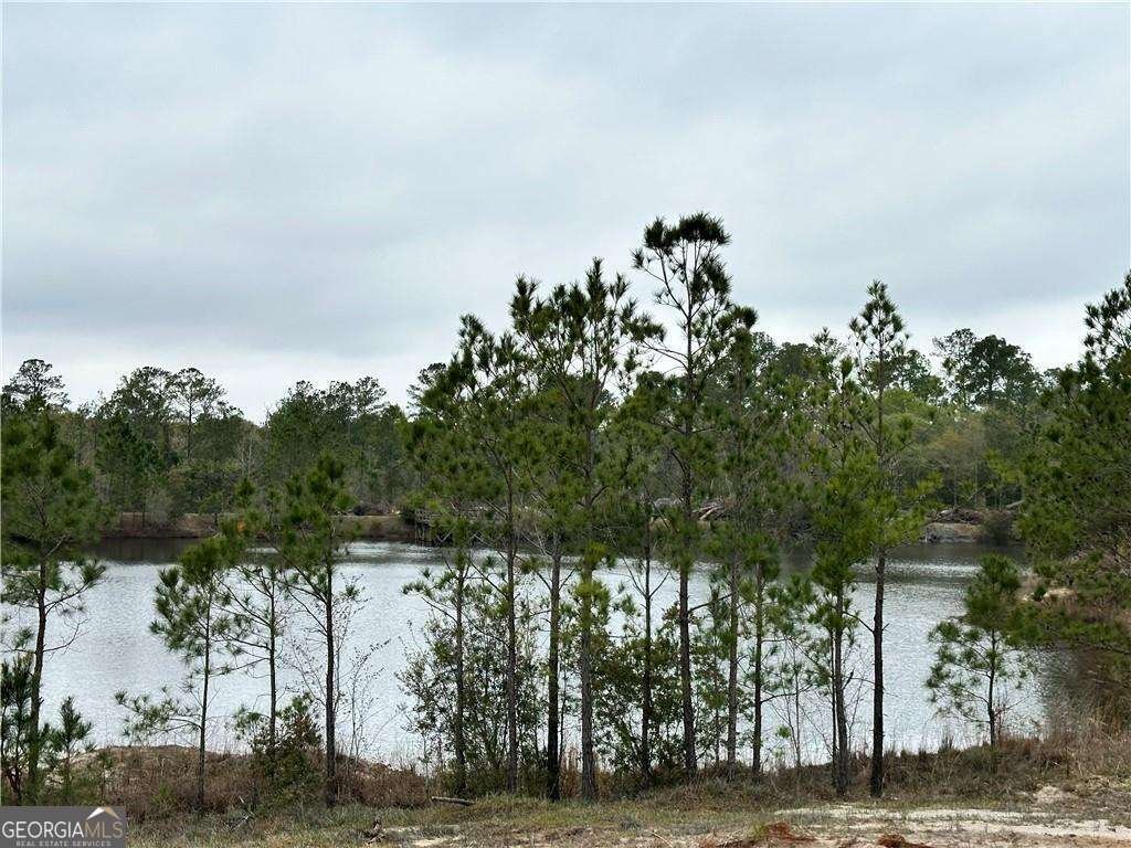 254 Satilla Sands Drive Waynesville - 2