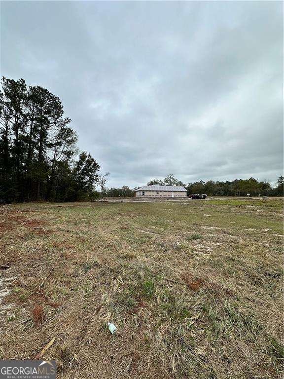 254 Satilla Sands Drive Waynesville - 4