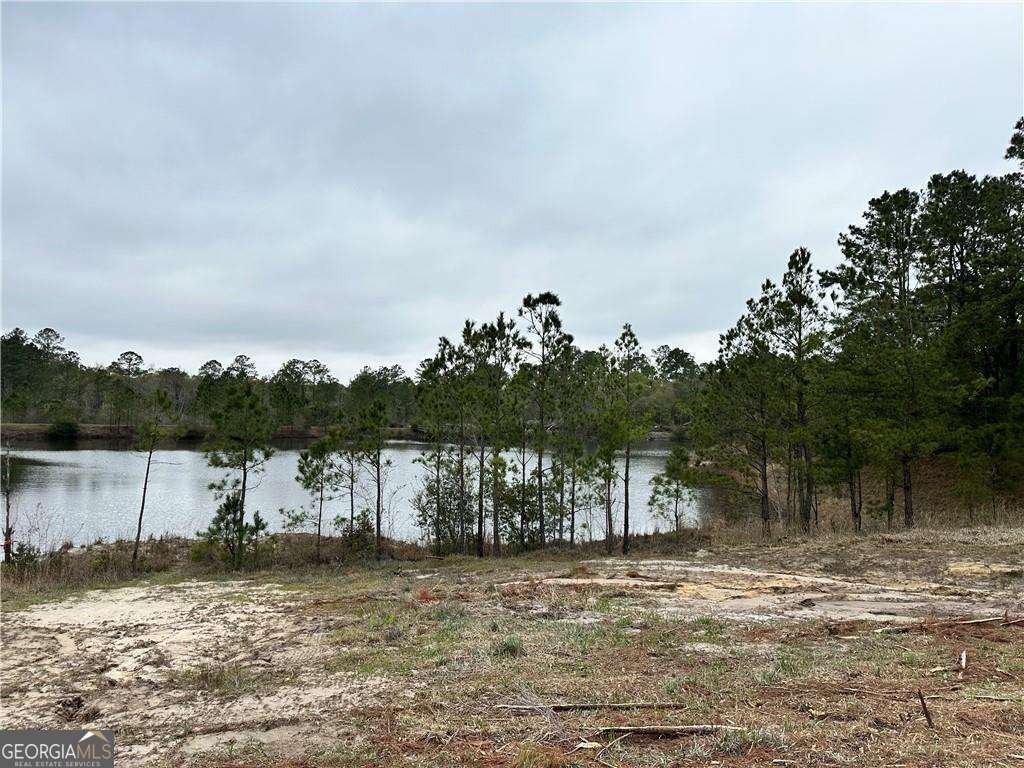 254 Satilla Sands Drive Waynesville - 6