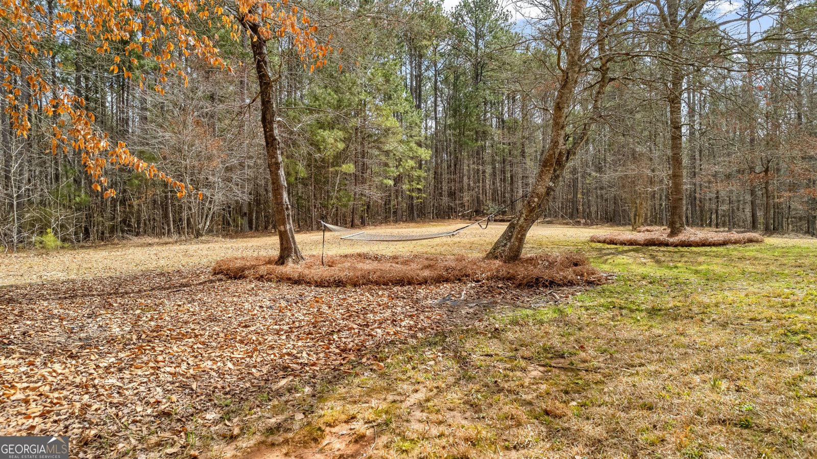 1452 Redwine Road Fayetteville - 69