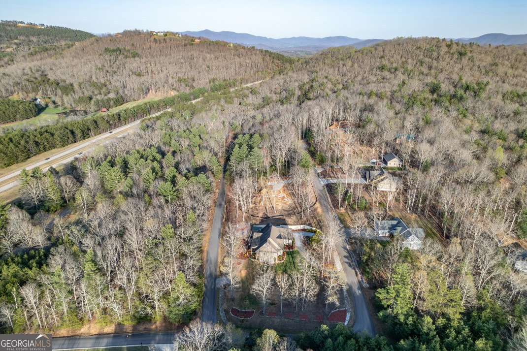 159 Apple Blossom Road Blairsville - 50
