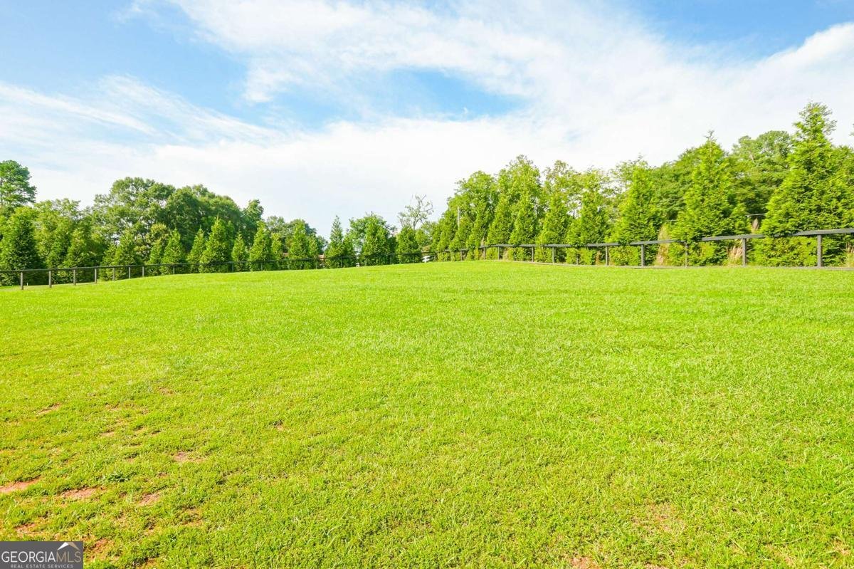 1050 Branch Farm Point Bogart - 41