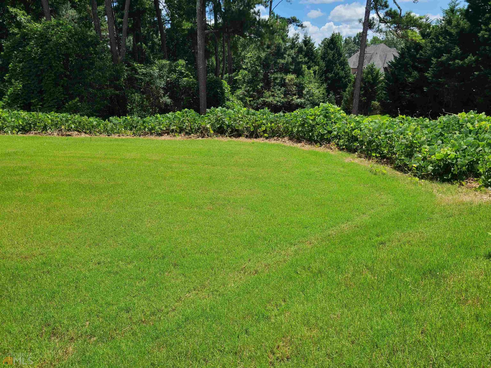 828 Cooper Lakes Court Grayson - 66