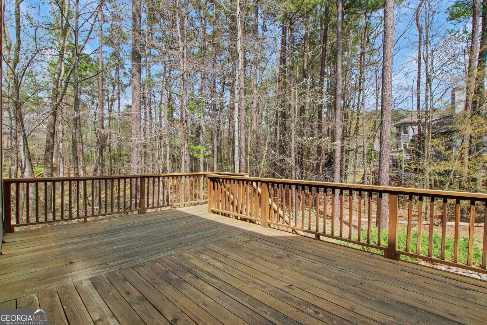 2320 Starr Lake Drive Acworth - 17