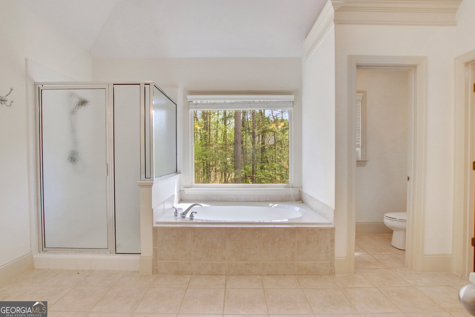 2320 Starr Lake Drive Acworth - 23