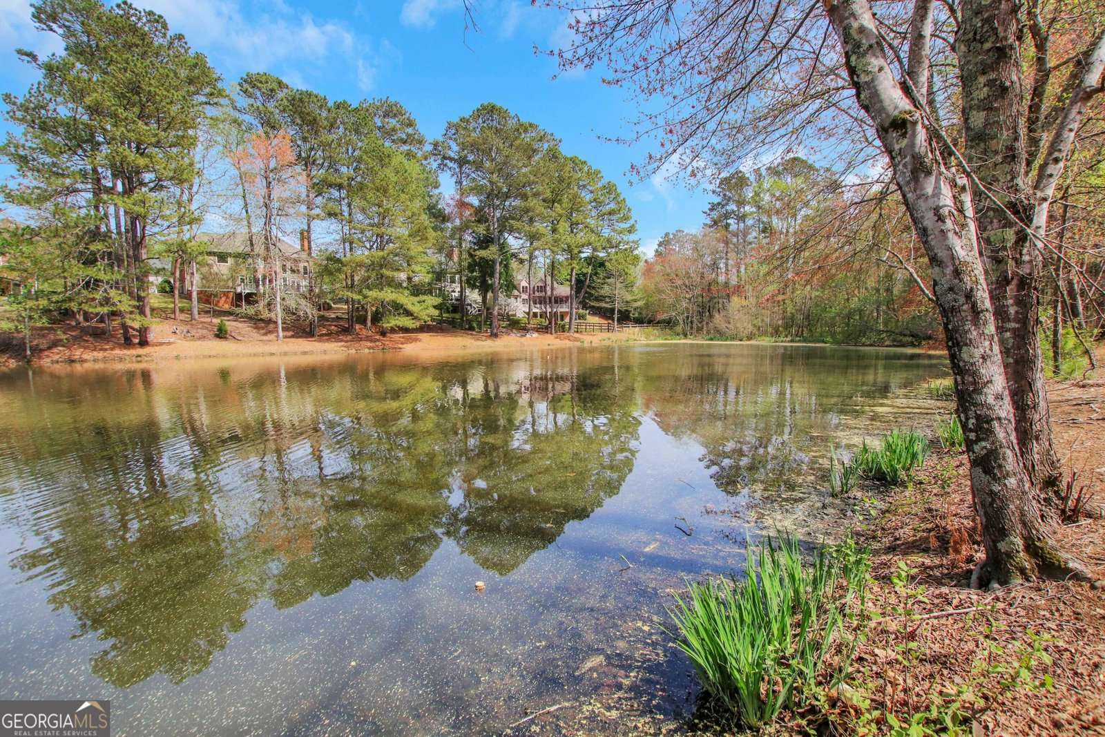 2320 Starr Lake Drive Acworth - 47