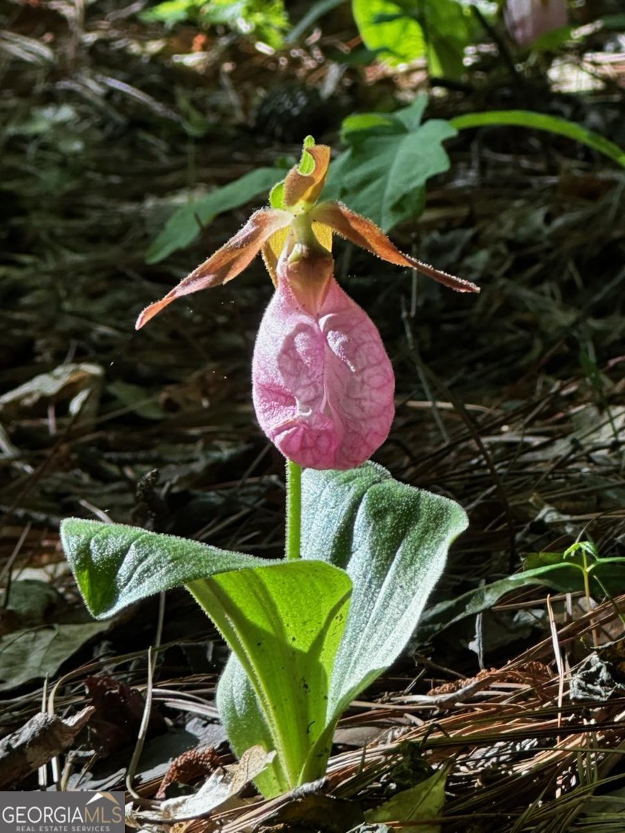 310 Austin Road Newnan - 30