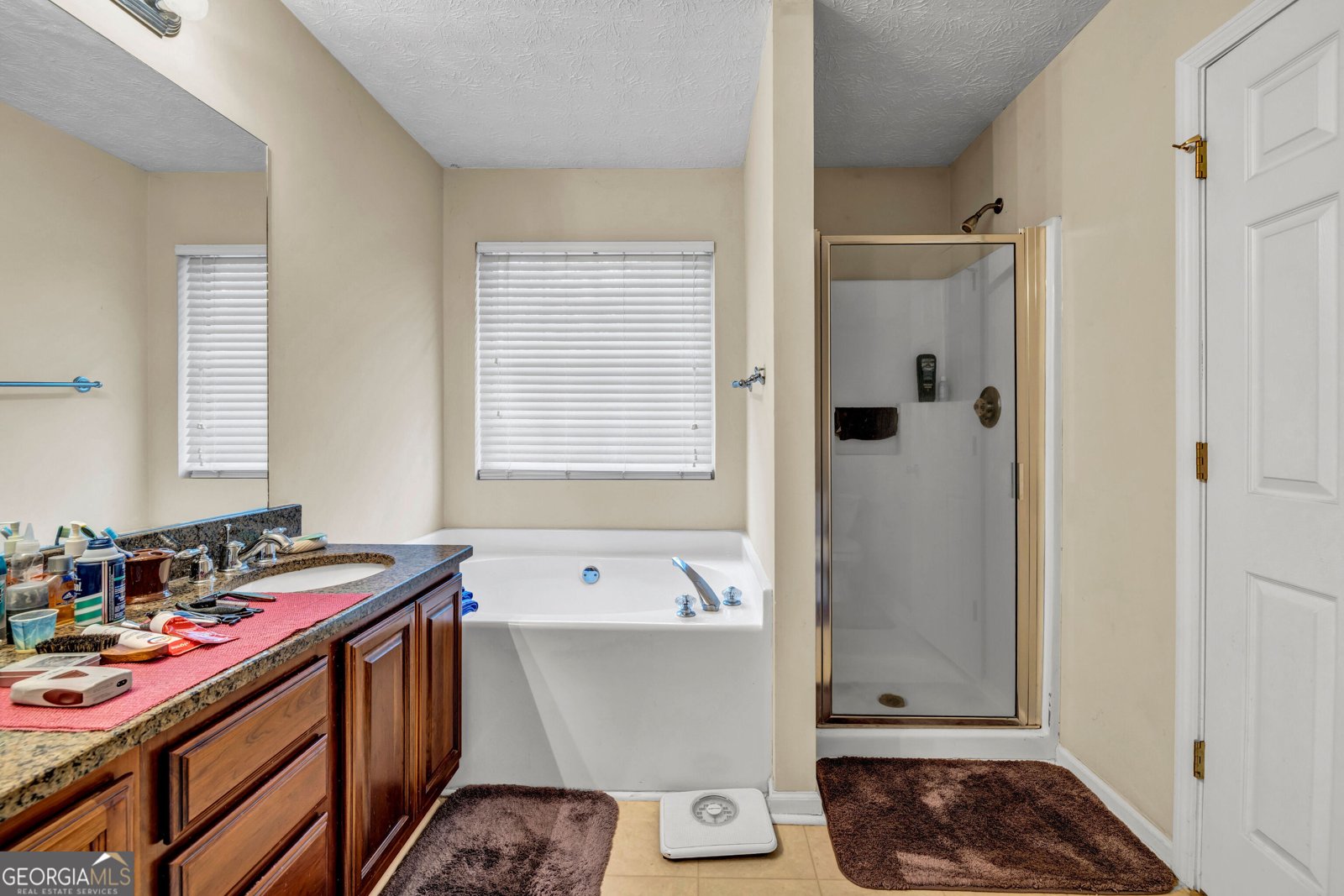 510 Ashland Manor Drive Lawrenceville - 13