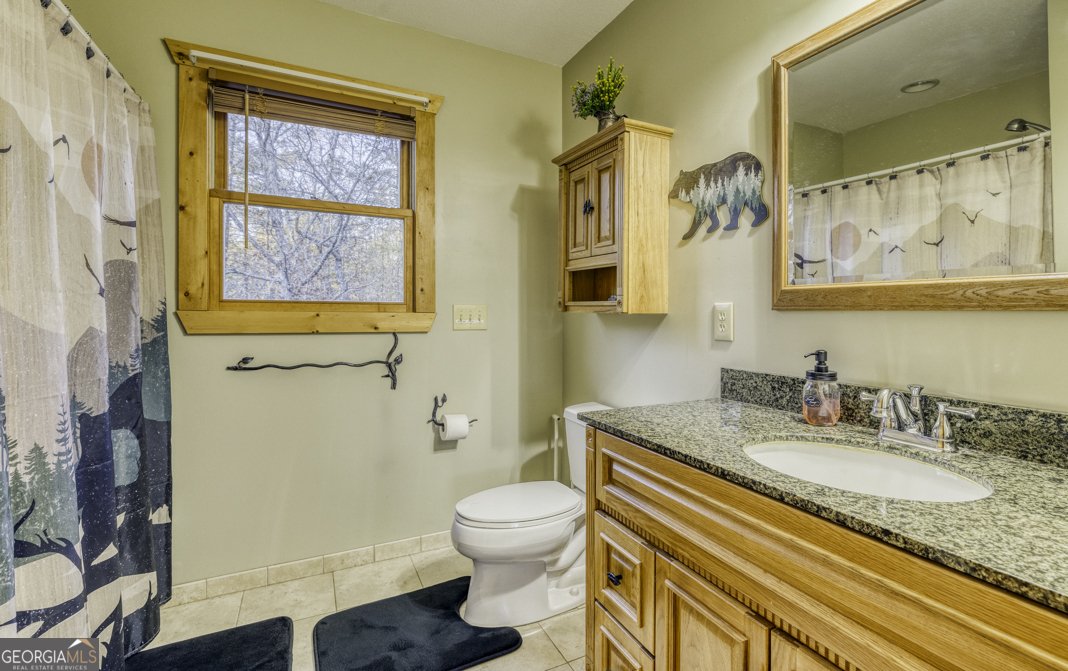 91 Blue Grass Hollow Morganton - 23