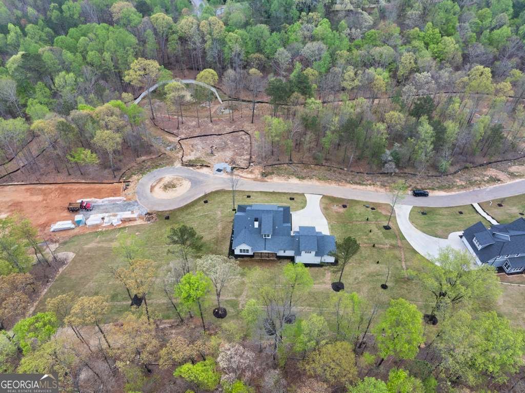 3078 Turning Creek Trail Dacula - 4