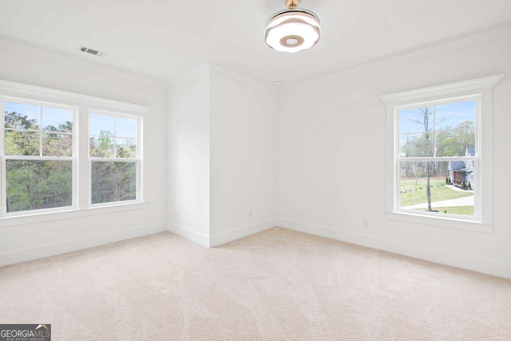 3078 Turning Creek Trail Dacula - 45
