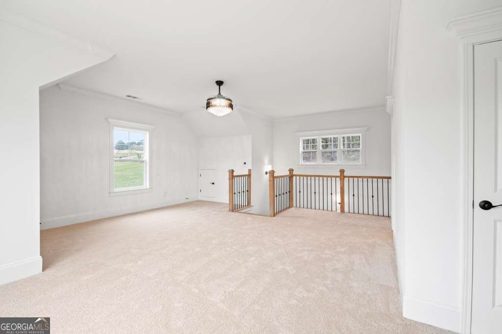 3078 Turning Creek Trail Dacula - 48