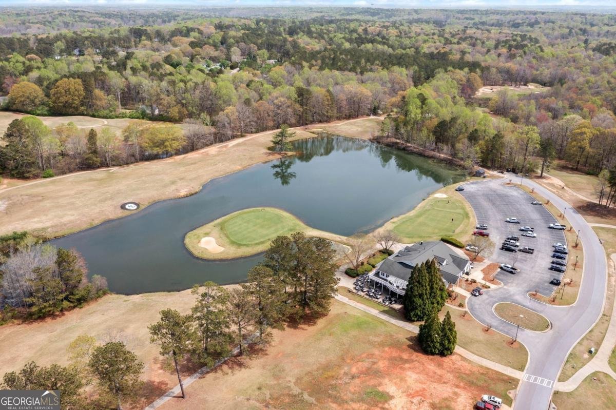 179 Country Club Drive Hiram - Photo 63