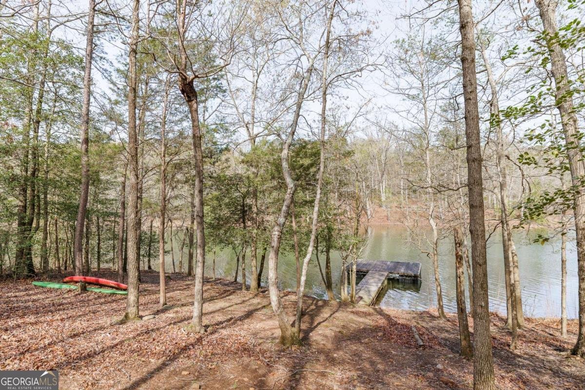 64 Lamb Road Hartwell - 9