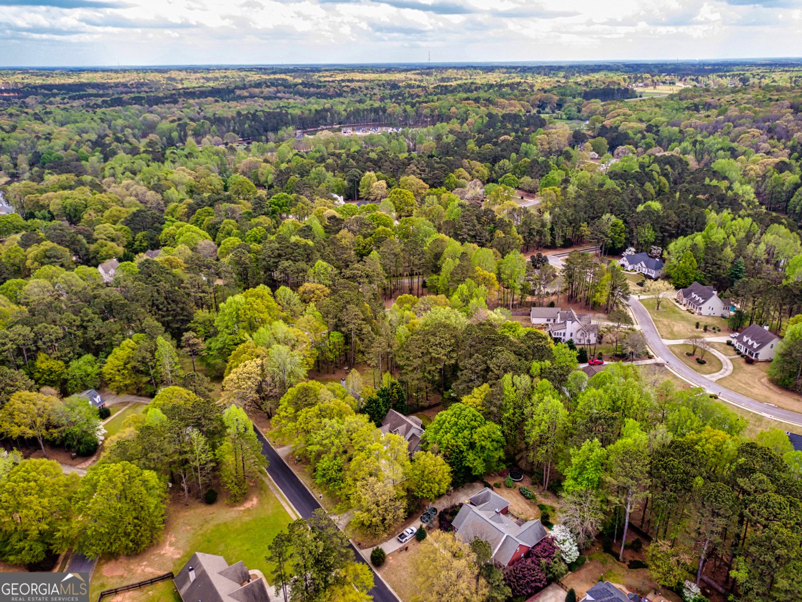 22 Shoreline Drive Newnan - 60