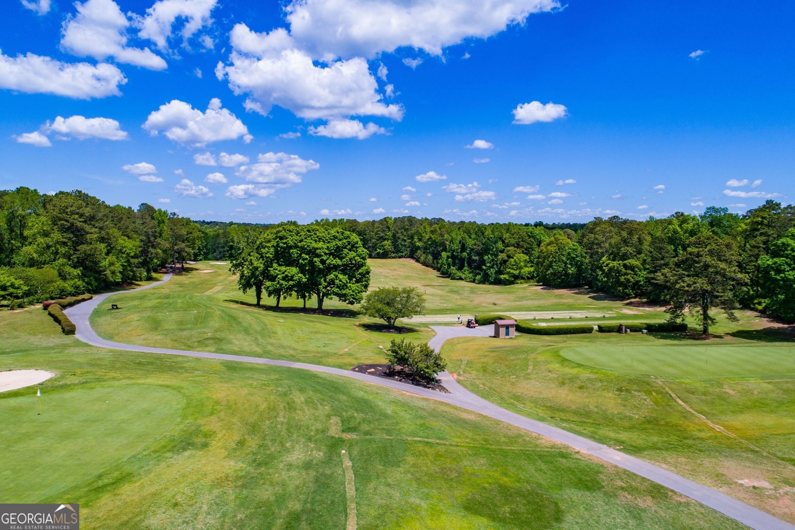 9176 Lakeview Parkway Villa Rica - 19
